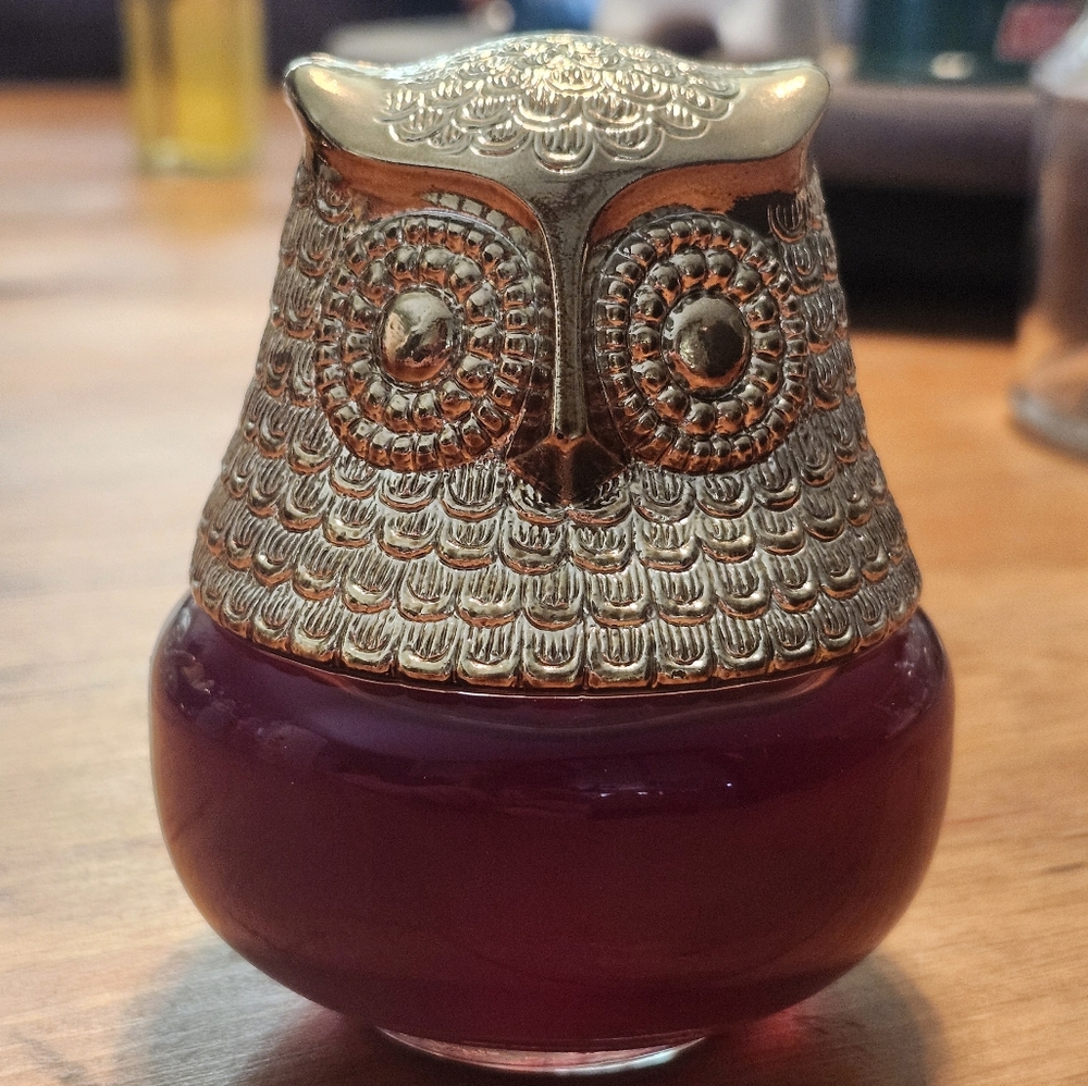 Vintage Avon Glass Owl Empty Decanter
